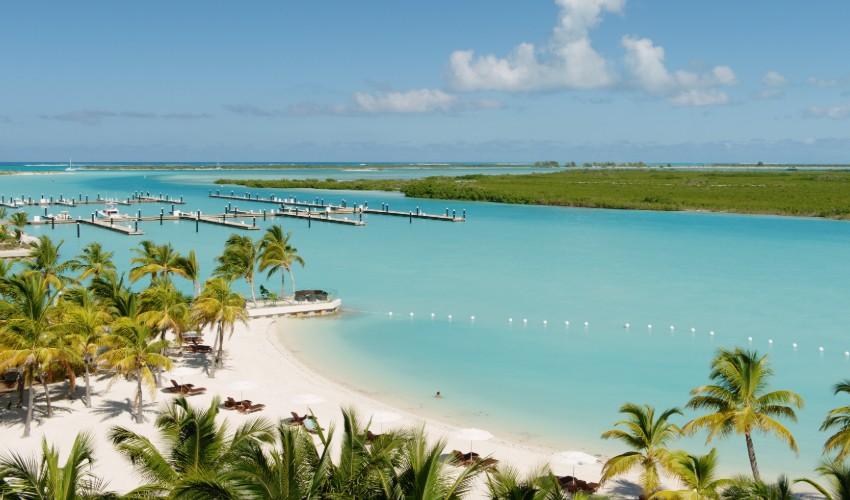 An aerial view of a beach with palm trees and a marina.