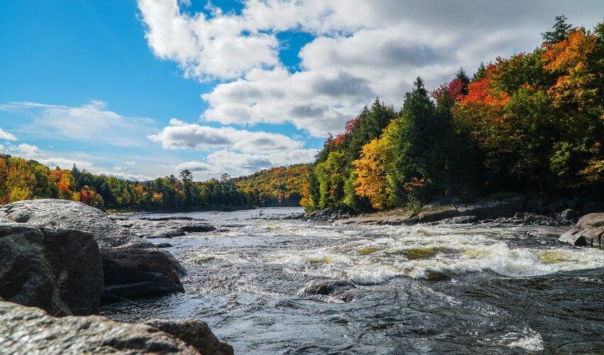 A river surrounded by trees in the fall.