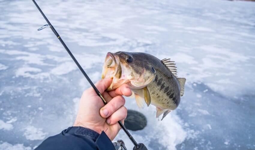 A person holding a fish on an ice lake.