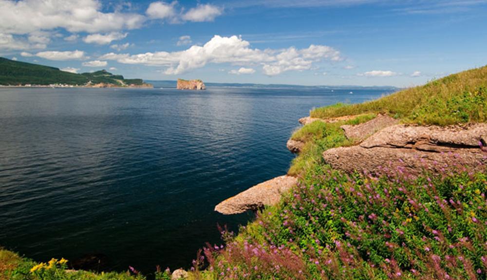A rocky cliff overlooking a body of water.