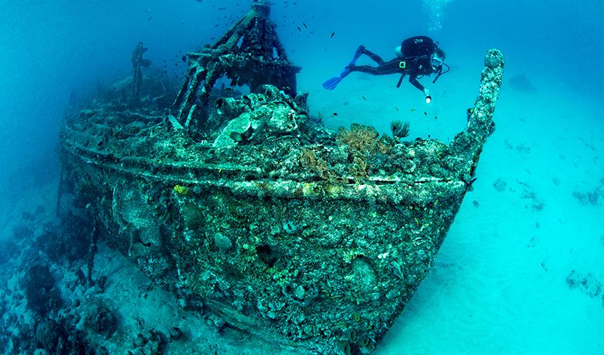 A scuba diver swimming near a wreck.