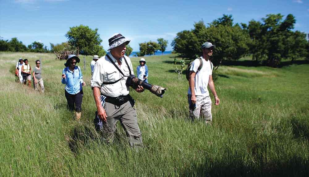 A group of people walking through tall grass.