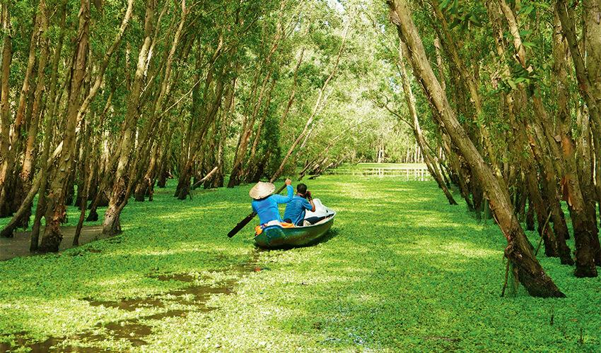 Two people in a canoe in a swamp.