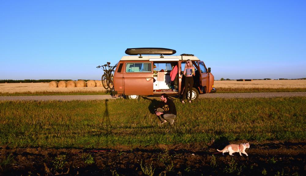 A vw camper van in a field.