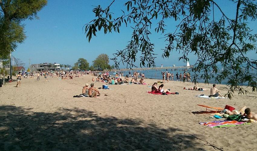 A group of people on a sandy beach near a body of water.