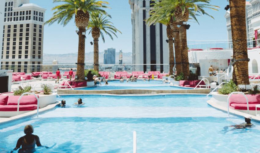A sunny poolside scene at a resort with palm trees and loungers.