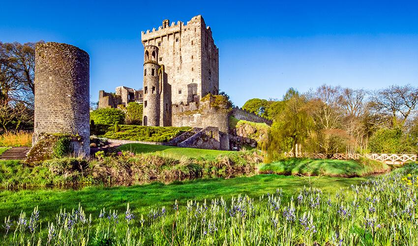 Ruins of a medieval castle surrounded by greenery and wildflowers on a sunny day.