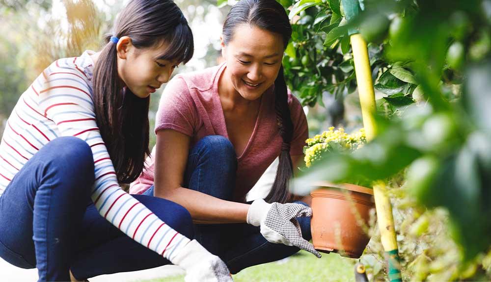 Two women kneeling down to plant a flower.