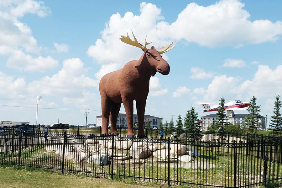 A large statue of a moose in front of a fence.