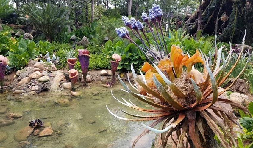 A pond with a lot of plants in it.