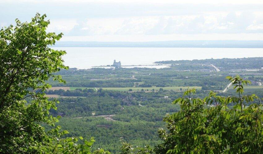 A view from a hill overlooking a lake and trees.