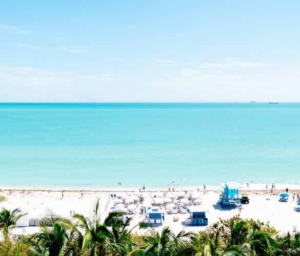 Tropical beach with clear blue waters, white sand, and beachgoers under umbrellas, framed by palm tree foliage.