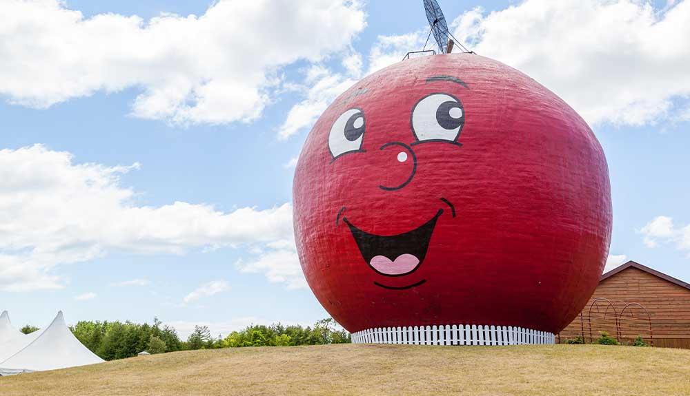 A large red fruit sitting on top of a grassy hill.