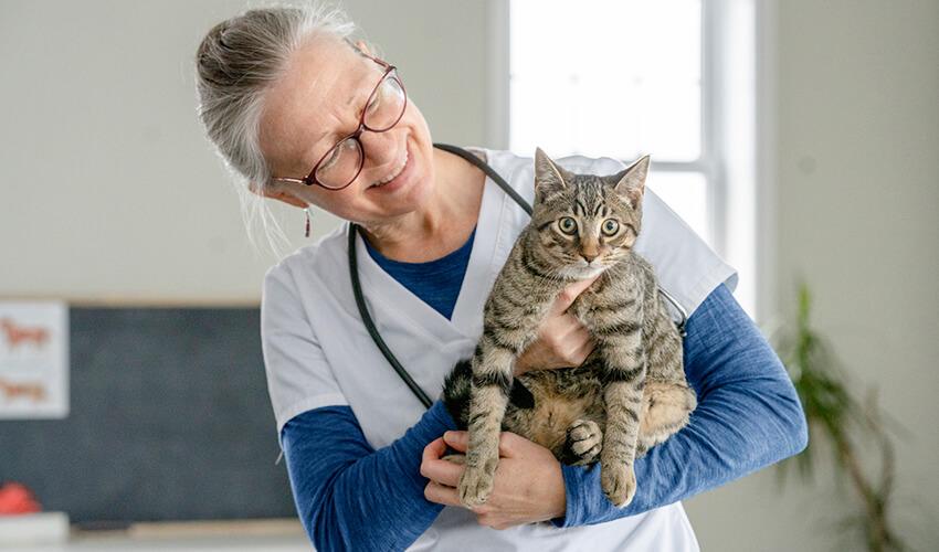 A woman holding a cat in front of a desk.