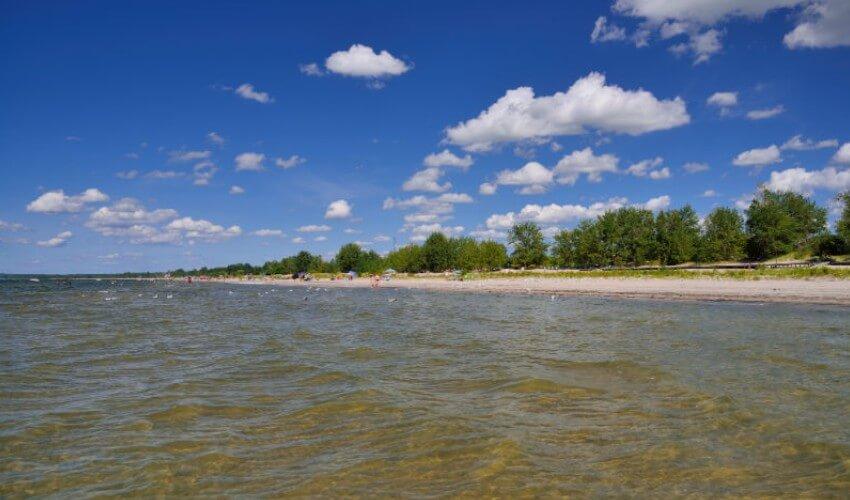 A sandy beach with trees and clouds in the sky.