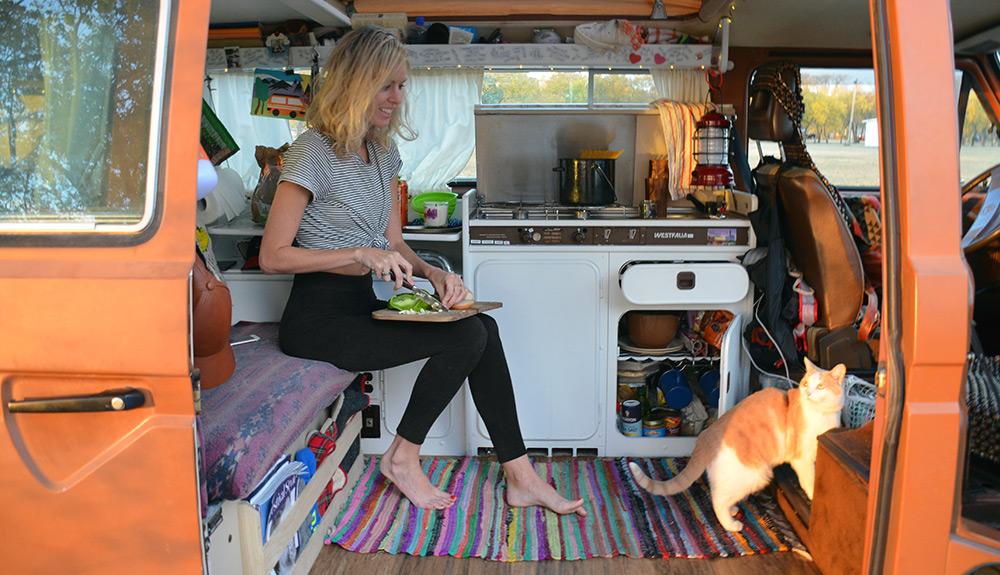 A woman sitting in a van with a dog.