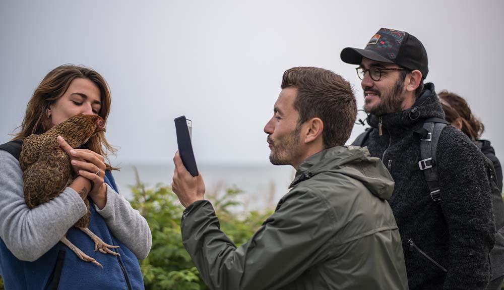 A group of people are looking at a bird.