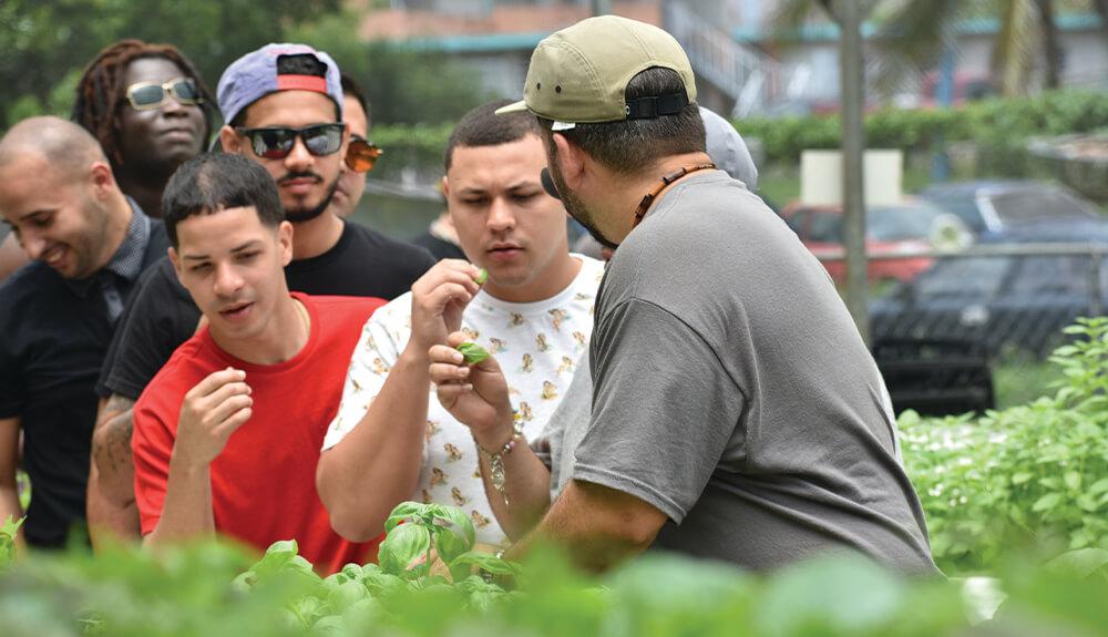 A group of men standing around a plant.