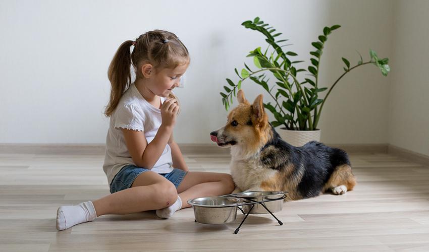 Young girl feeling her small dog while sitting on the floor.
