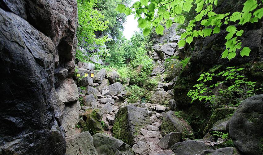 A rocky trail in a wooded area.