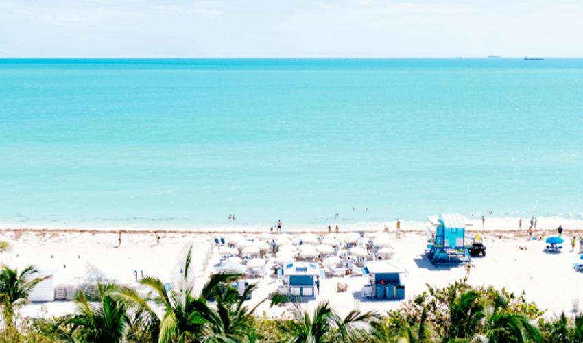 Tropical beach scene with visitors enjoying the sandy shore and turquoise ocean.