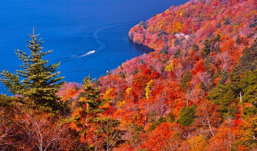 A lake surrounded by colorful fall foliage.