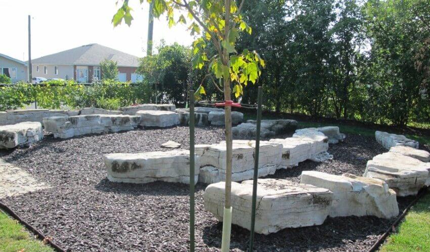 A rock garden with a tree in the middle.