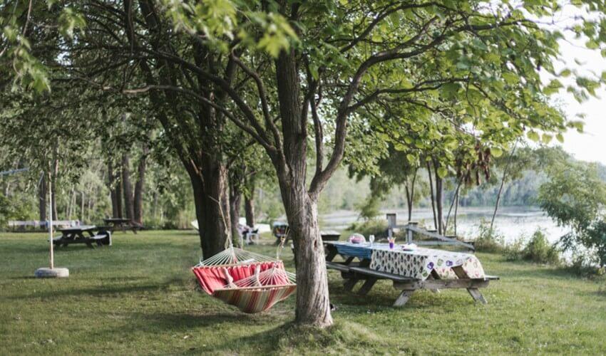 A picnic area with tables and chairs near a lake.