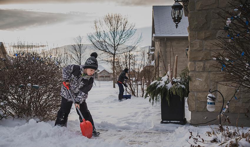 Yonge brothers shoveling snow from backyard