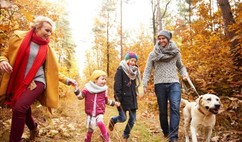 A family with a dog walking in the woods.