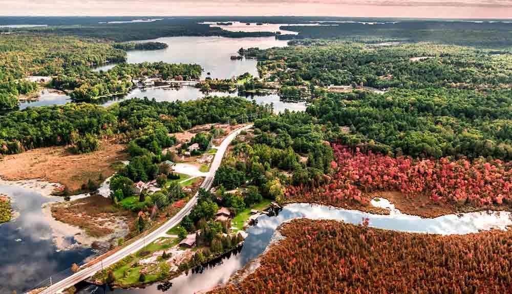 An aerial view of a lake surrounded by trees.