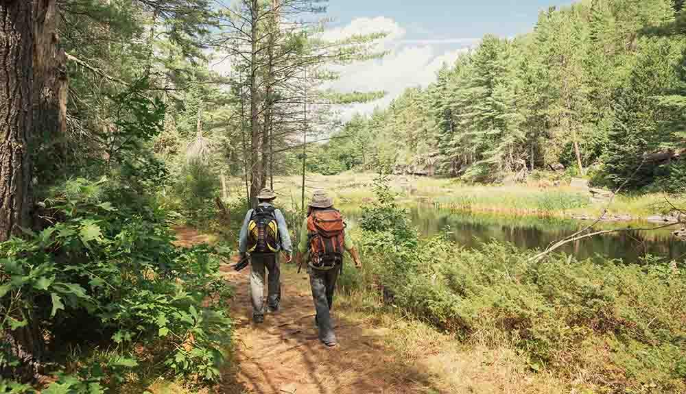 Two hikers walking along a trail in the woods.