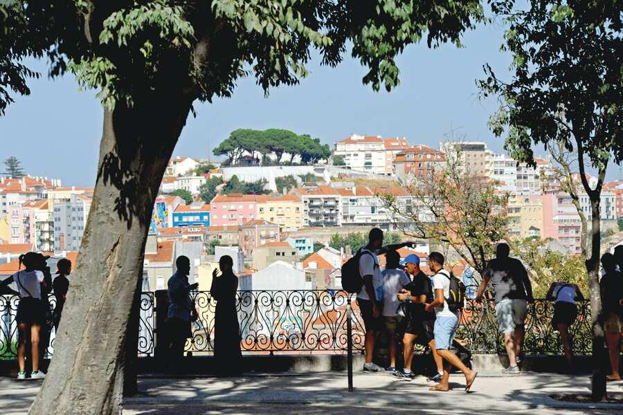 A group of people standing under a tree in front of a city.