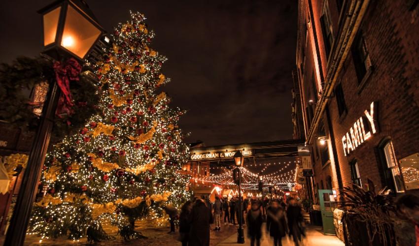 A christmas tree in the middle of a city street.