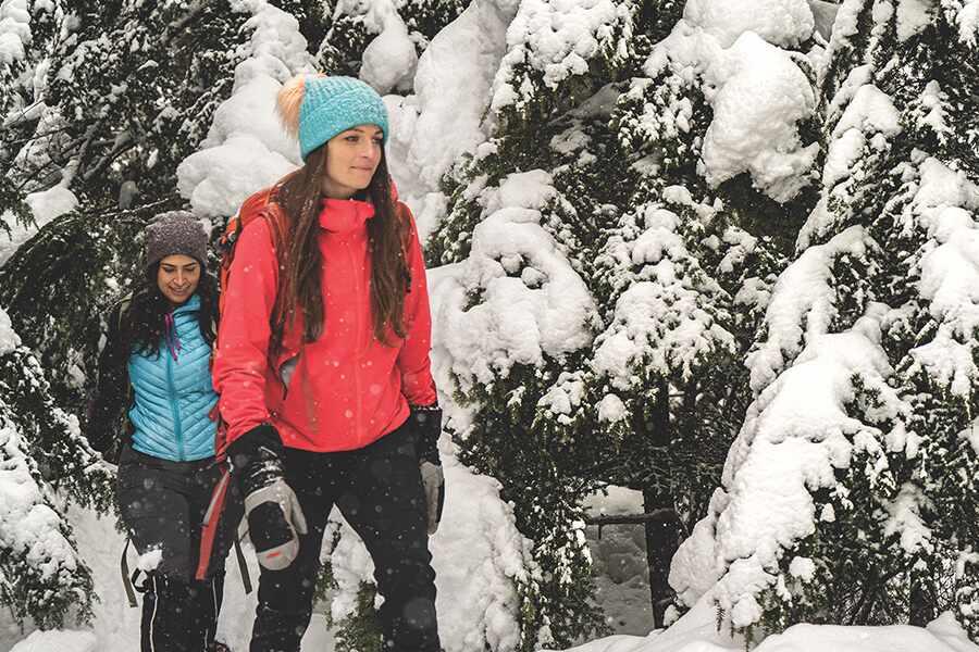 Two people hiking through a snowy forest.