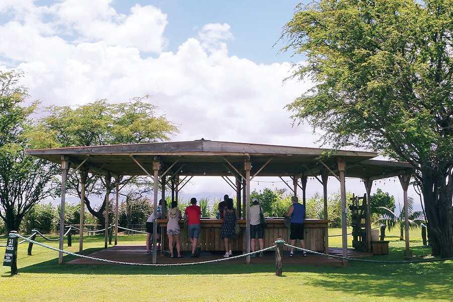 A group of people standing under a gazebo in a grassy area.