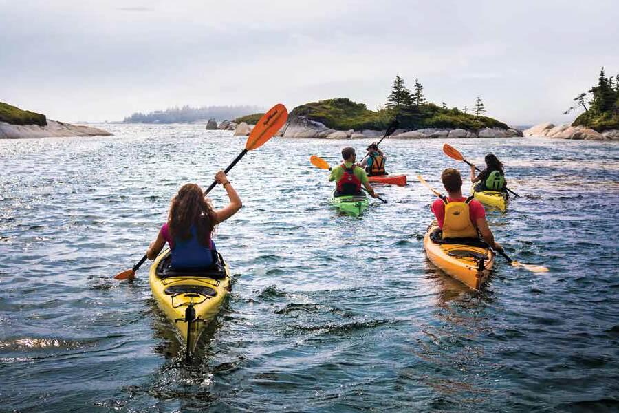 A group of people paddling kayaks in a body of water.