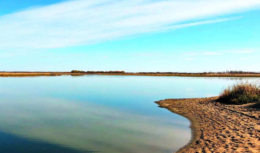 A body of water surrounded by grass and sand.