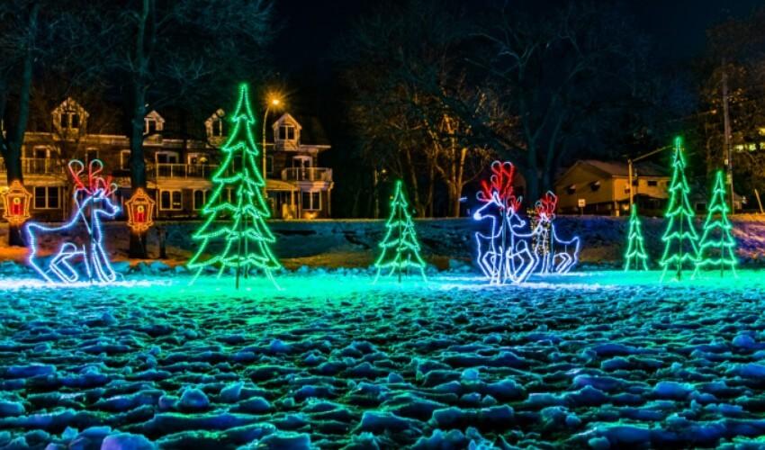 Christmas lights in a snowy area with reindeer.