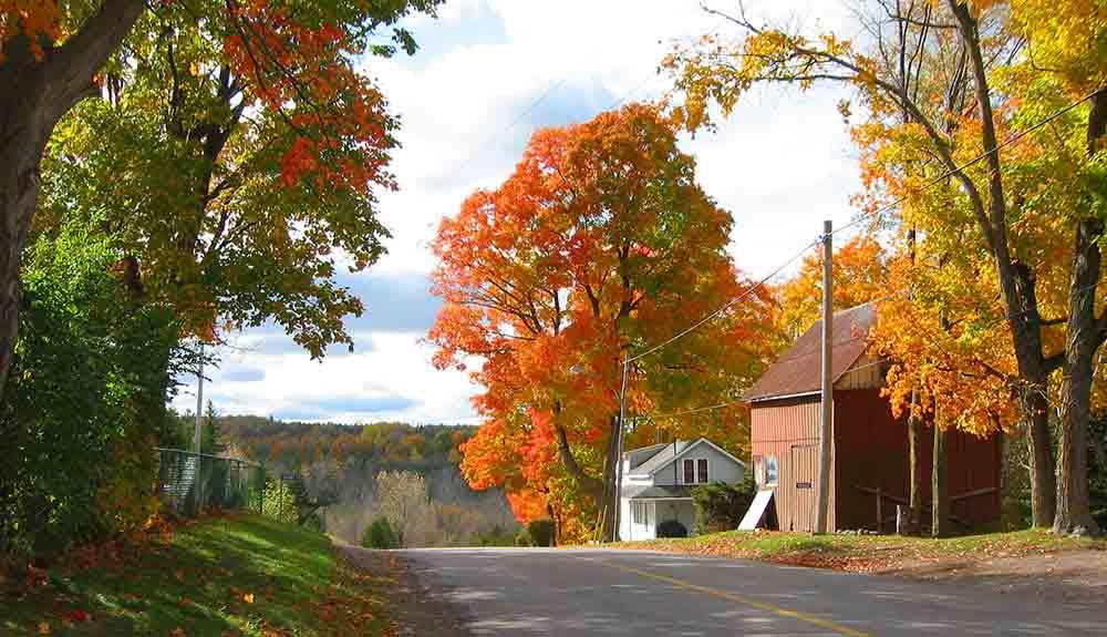 A road with a house and trees.