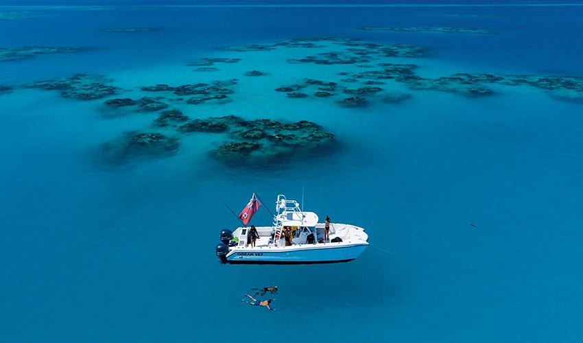 Aerial view of a boat over a coral reef with a person snorkeling in clear blue waters.
