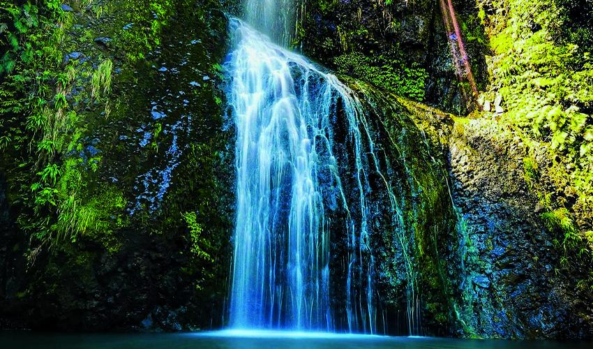 A waterfall in the middle of a lush green forest.