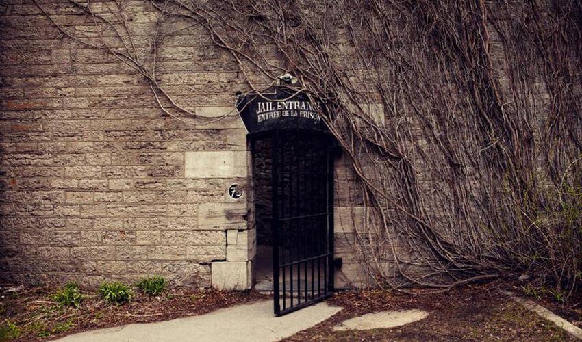 A gate to a building with vines growing out of it.