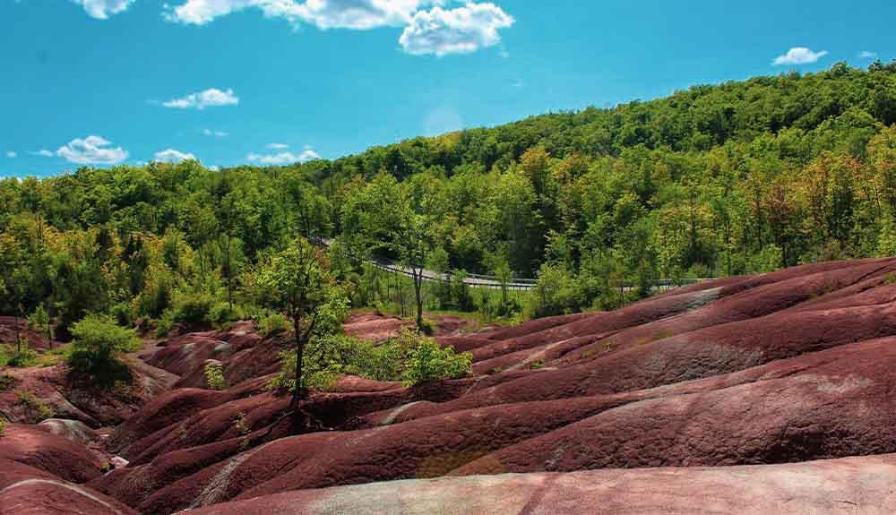 A red hill with trees in the background.