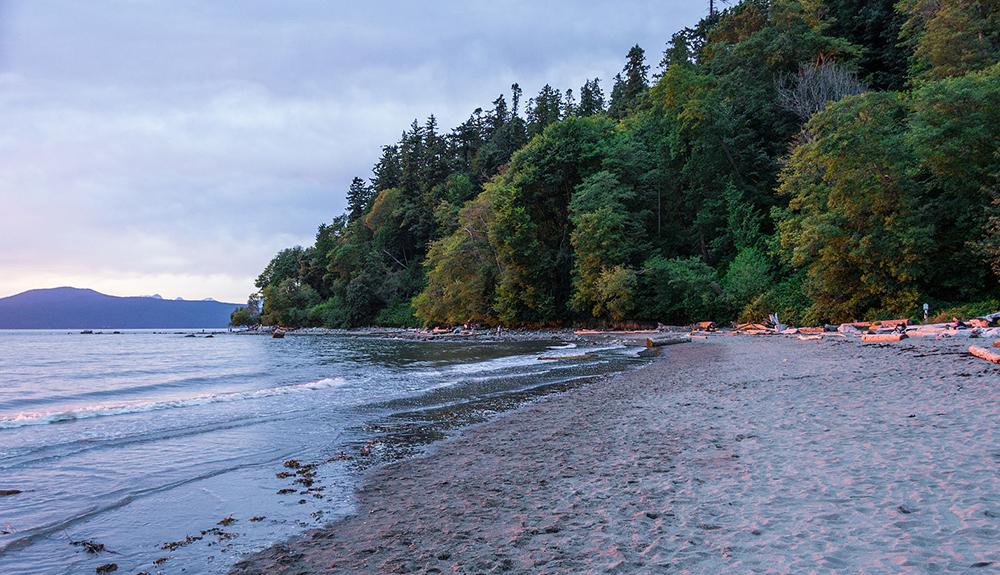 A group of canoes on a beach near a body of water.