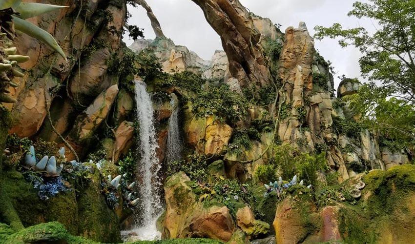 A waterfall in the middle of a jungle.