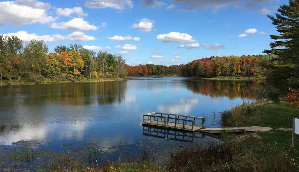 A lake surrounded by trees and a dock.