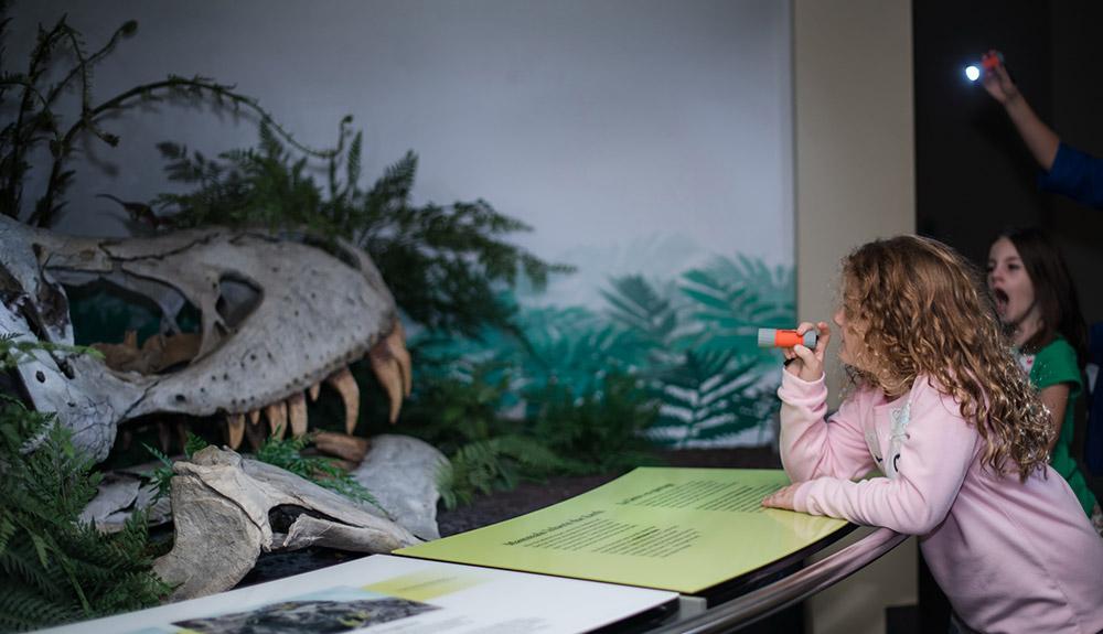 A girl is looking at a dinosaur skeleton in a museum.