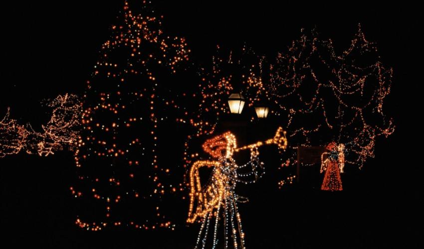 A group of christmas lights in front of a tree.